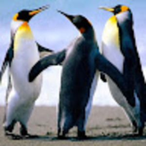 Meet your Posher, Stacey